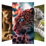 lion wallpapers android application logo